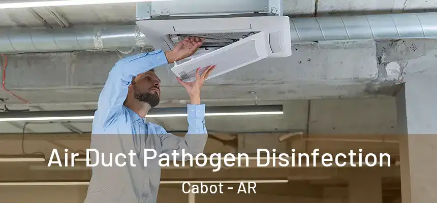 Air Duct Pathogen Disinfection Cabot - AR