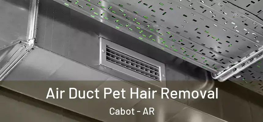 Air Duct Pet Hair Removal Cabot - AR