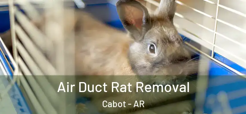 Air Duct Rat Removal Cabot - AR