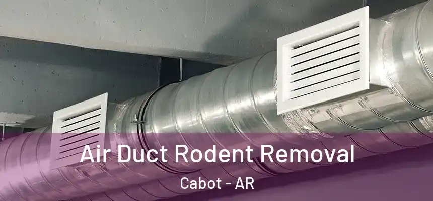  Air Duct Rodent Removal Cabot - AR