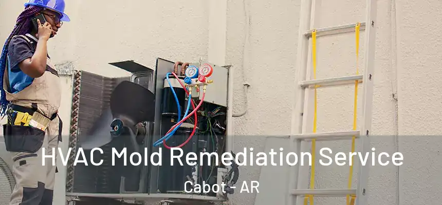  HVAC Mold Remediation Service Cabot - AR