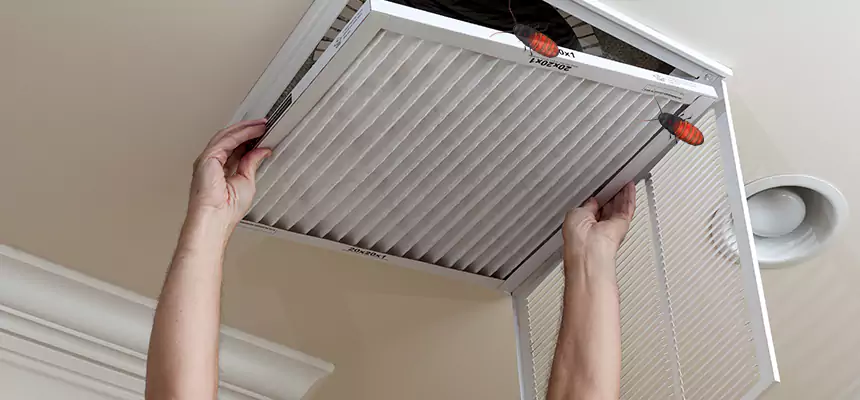Our Insect Removal from Air Ducts Services in Cabot, AR