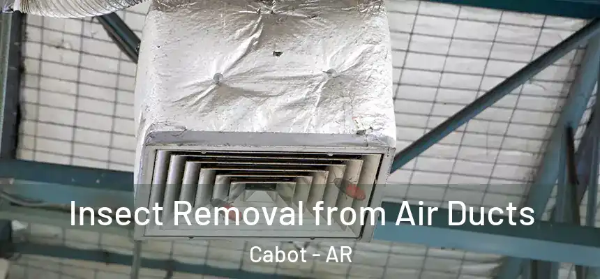 Insect Removal from Air Ducts Cabot - AR