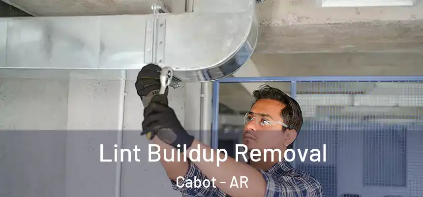 Lint Buildup Removal Cabot - AR