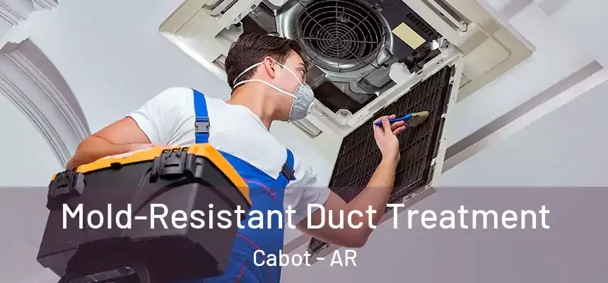 Mold-Resistant Duct Treatment Cabot - AR