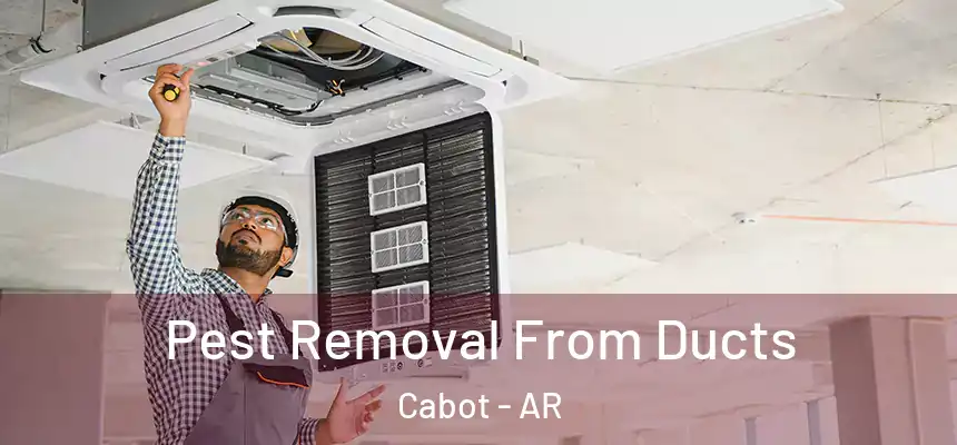 Pest Removal From Ducts Cabot - AR