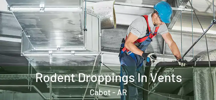 Rodent Droppings In Vents Cabot - AR