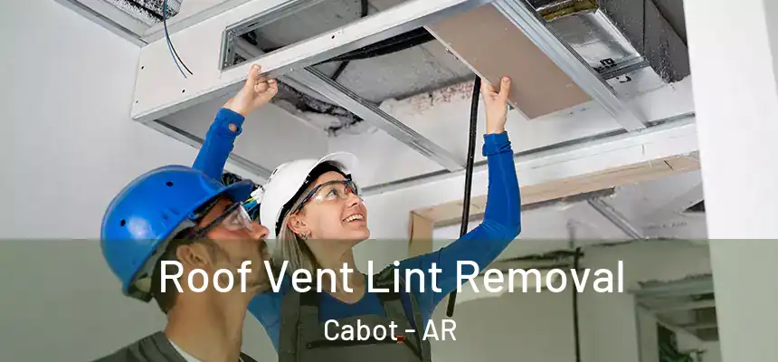 Roof Vent Lint Removal Cabot - AR