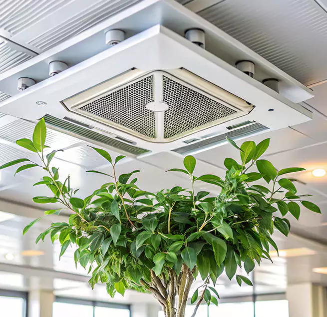 Why Homeowners & Businesses Trust Us in Cabot, AR?